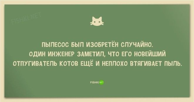 25 смешных анекдотов про кошек и котов