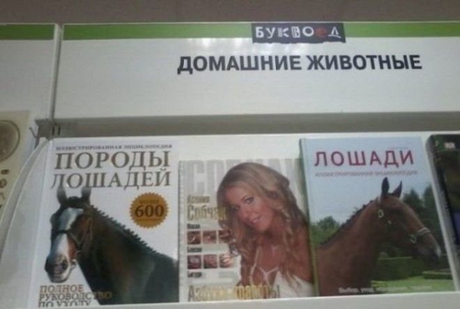 Приколы в книжных магазинах заставляющие улыбнуться во весь рот