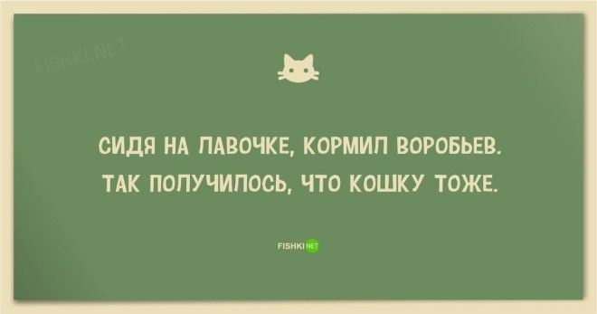 25 смешных анекдотов про кошек и котов
