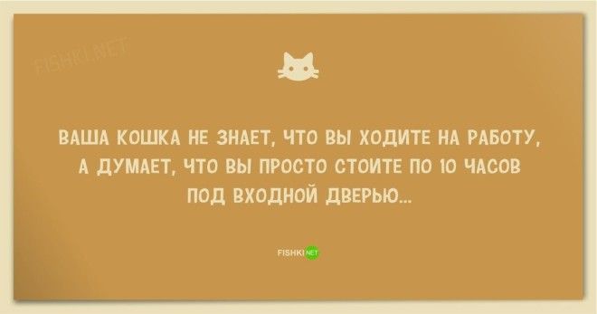 25 смешных анекдотов про кошек и котов