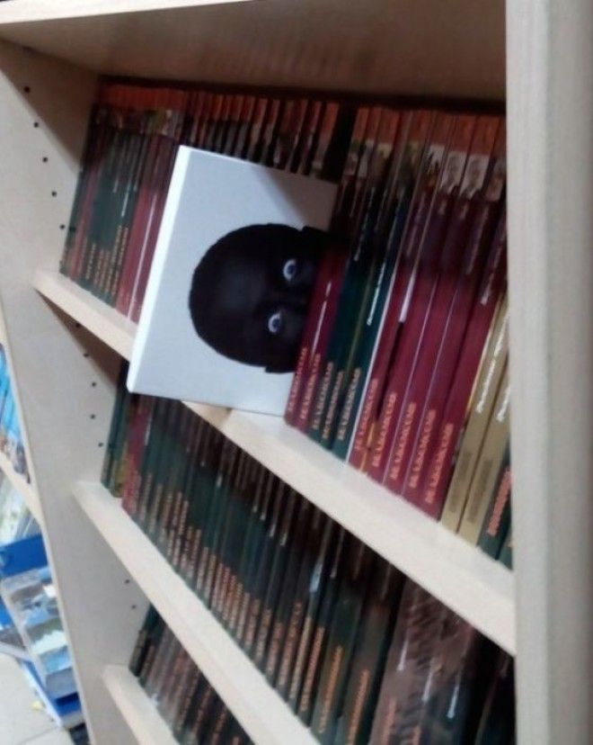 Приколы в книжных магазинах заставляющие улыбнуться во весь рот
