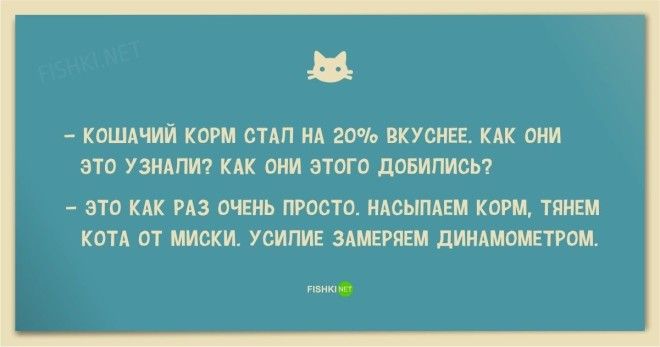 25 смешных анекдотов про кошек и котов