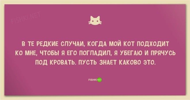 25 смешных анекдотов про кошек и котов