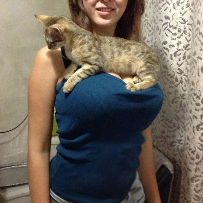 22 Уютно устроились грудь девушки подставка