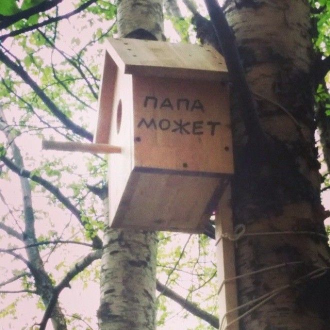 Ктото еще сомневался добро кормушка птицы своими руками скворечник