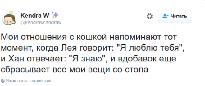 «Мои отношения с кошкой»: шедевральные записи владельцев котиков в соцсетях