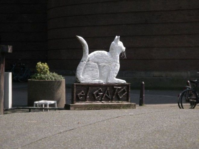 7 мест на Земле где кошки чувствуют себя как в раю