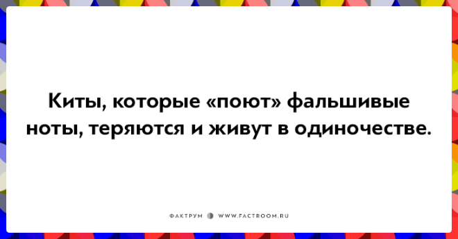 20 неожиданных фактов которые на самом деле чистая правда