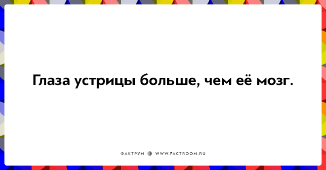 20 неожиданных фактов которые на самом деле чистая правда