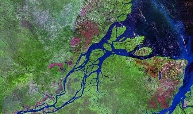 Невероятные факты про Амазонку которые делают её уникальнейшим местом на Земле