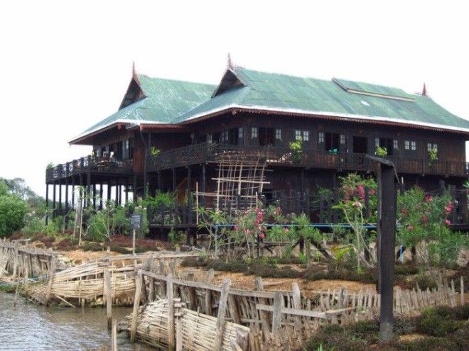 7 мест на Земле где кошки чувствуют себя как в раю