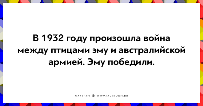 20 неожиданных фактов которые на самом деле чистая правда