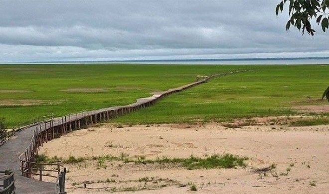 Невероятные факты про Амазонку которые делают её уникальнейшим местом на Земле