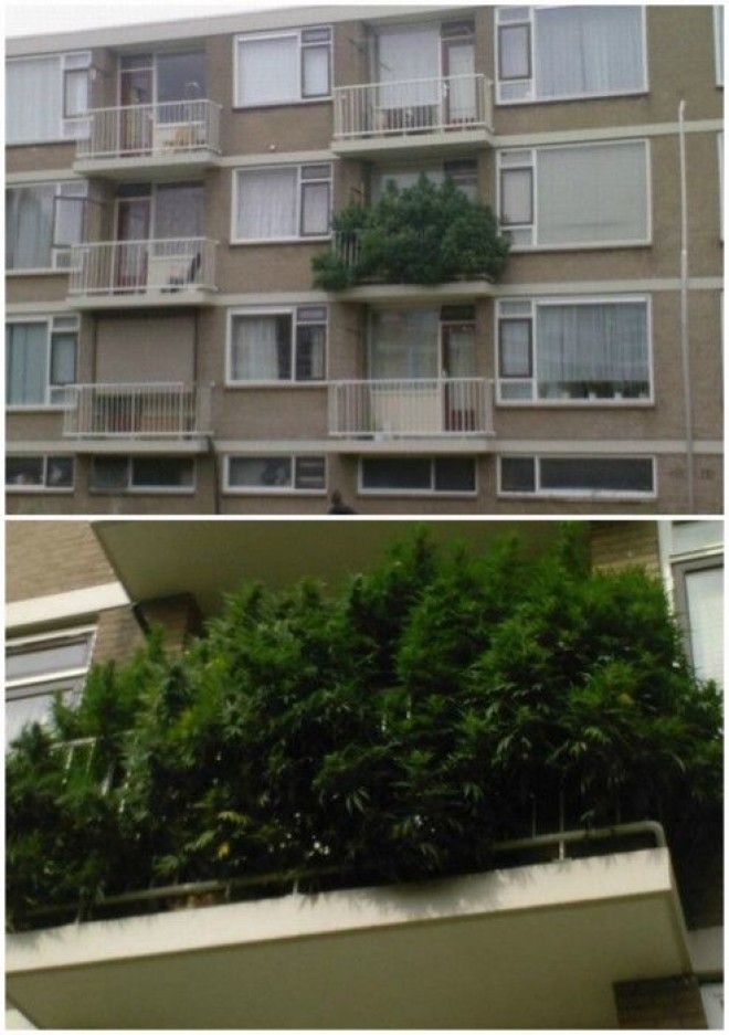 18 эпичных балконов которые сразят наповал своим дизайном и содержимым