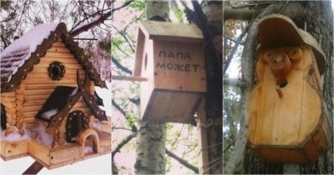 У птиц все как у людей увидев такие скворечники я почемуто захотел стать птицей добро кормушка птицы своими руками скворечник