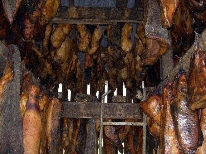Малоизвестные факты про акул которые вы могли не знать
