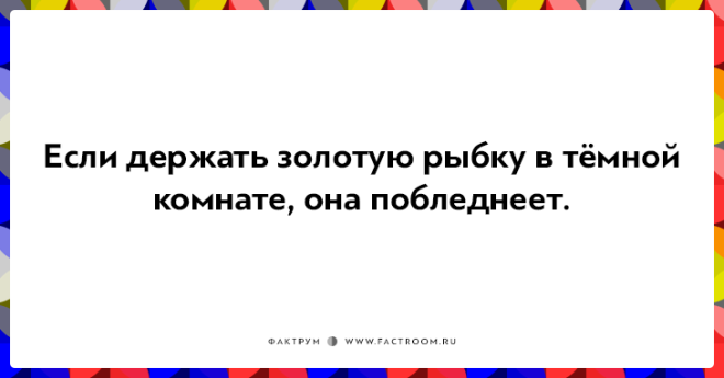 20 неожиданных фактов которые на самом деле чистая правда
