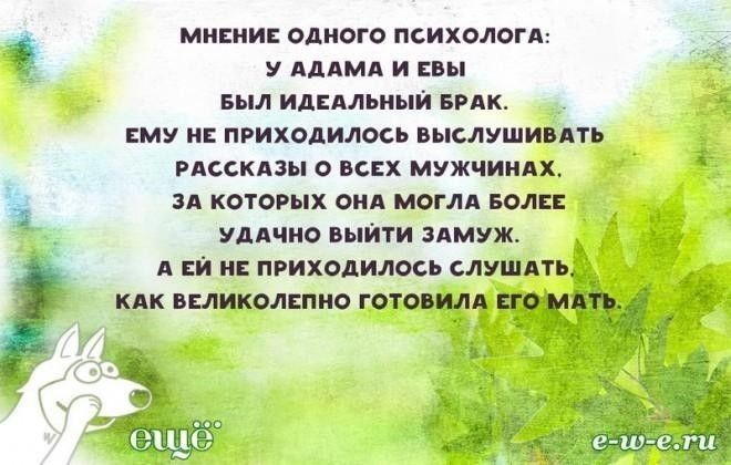 Нескучные заметки психиатров и их пациентов люди юмор