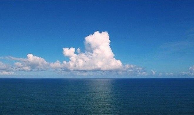 Невероятные факты про Амазонку которые делают её уникальнейшим местом на Земле