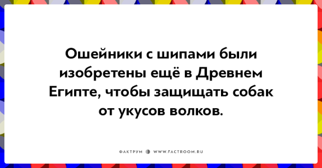 20 неожиданных фактов которые на самом деле чистая правда