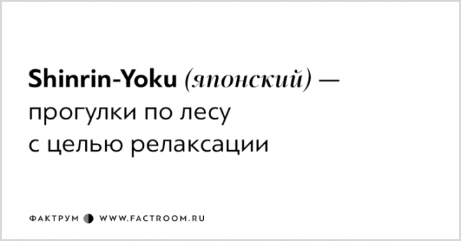 Для этих чувств у нас нет слов Хотя нет есть