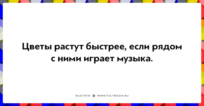 20 неожиданных фактов которые на самом деле чистая правда