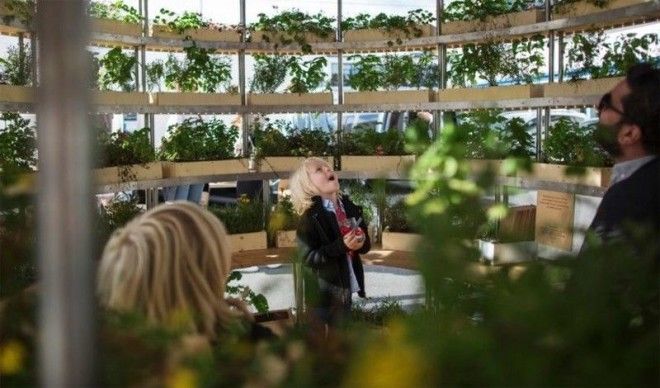 Зелёная комната дизайн вертикального сада при поддержке IKEA ikea дизайн сад цветы