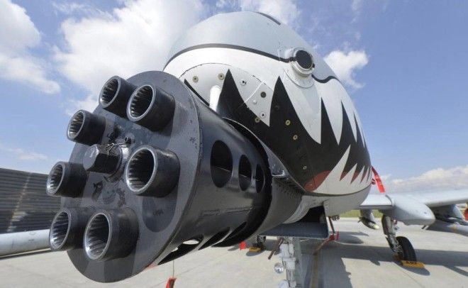 На А10 Thunderbolt II была установлена семиствольная пушка GAU81A калибр 30мм скорострельностью 2400 выстрмин На 11 внешних узлах устанавливались кассетные боеприпасы и свободно падающие снаряды Кроме того Бородавочники были оснащены и управляемыми ракетами AGM65A Для защиты от самолетов противника использовались ракеты класса воздухвоздух АIM9 Сайдвиндер то есть охота на такого кабанабородавочника была делом весьма и весьма опасным