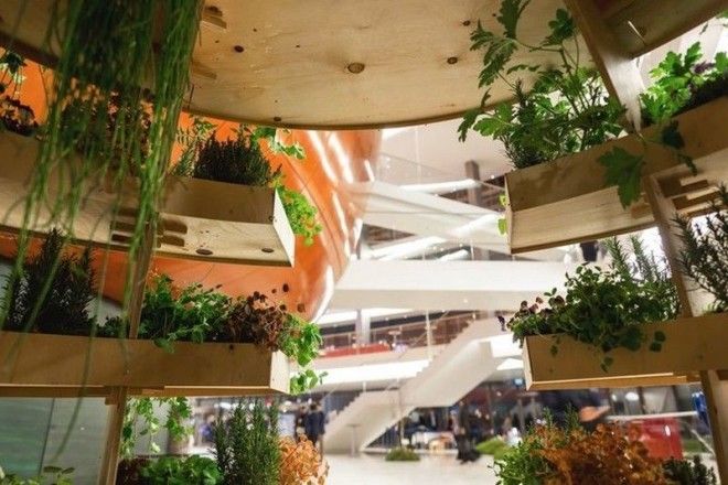 Зелёная комната дизайн вертикального сада при поддержке IKEA ikea дизайн сад цветы