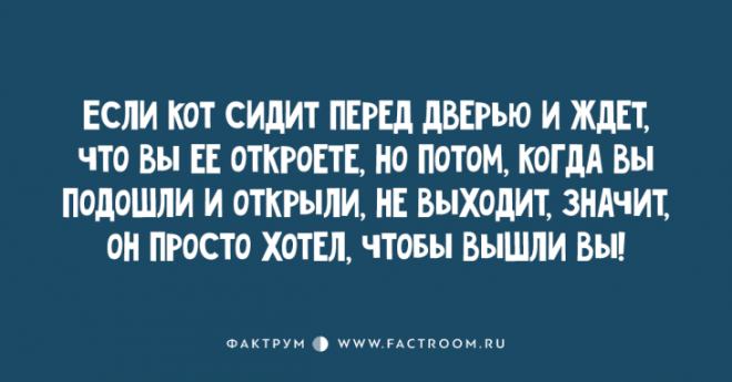 Чудесные анекдоты после прочтения которых вы будете смеяться без остановки