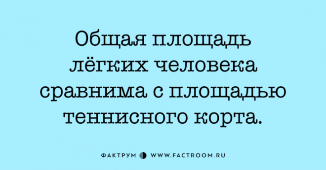 20 потрясающих фактов, в реальность которых сложно поверить
