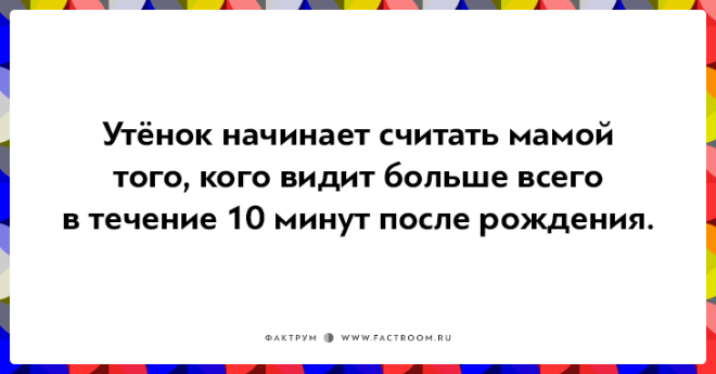 20 неожиданных фактов которые на самом деле чистая правда