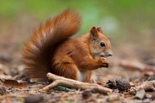 20 вещей времен СССР о которых никогда не слышали за границей
