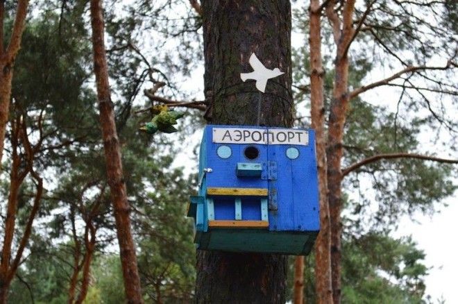 Ежедневный вылет добро кормушка птицы своими руками скворечник