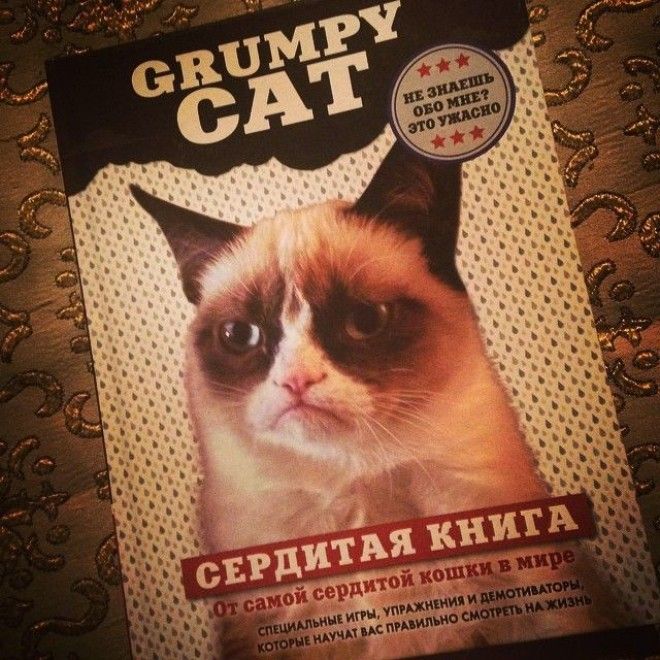 Дожили книги названия прикол