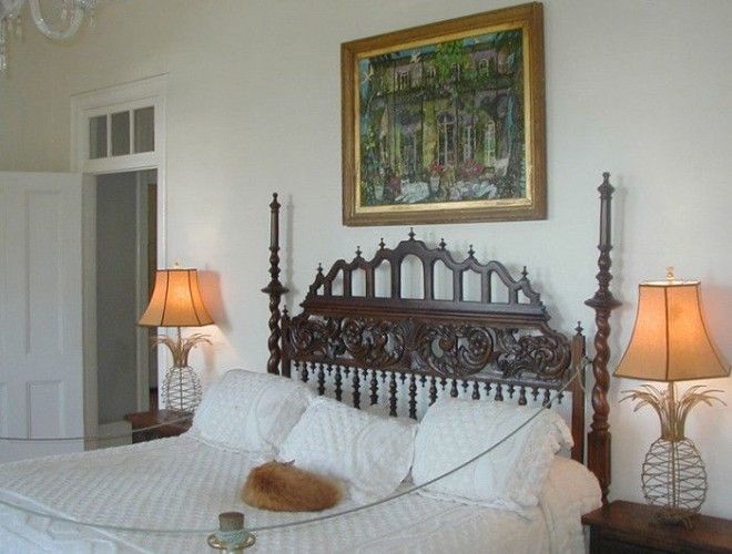 7 мест на Земле где кошки чувствуют себя как в раю