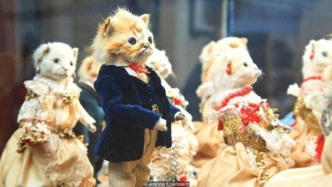 Странные увлечения хобби которые были популярными 150 лет назад