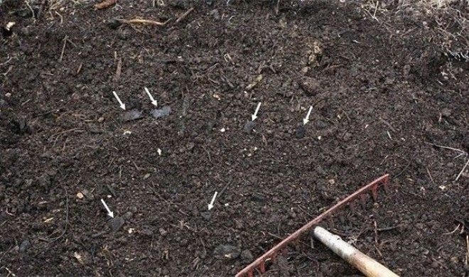 Невероятные факты про Амазонку которые делают её уникальнейшим местом на Земле