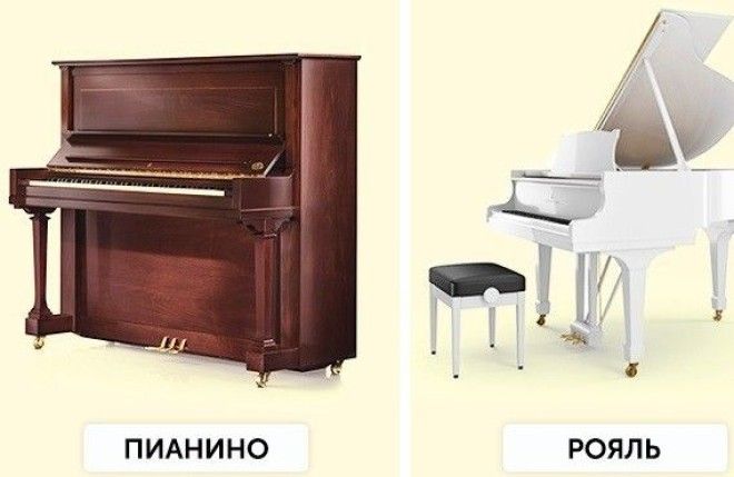 Различия которые больше не поставят нас в тупик различия тупик