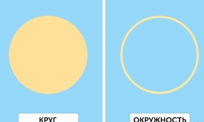 Различия которые больше не поставят нас в тупик различия тупик