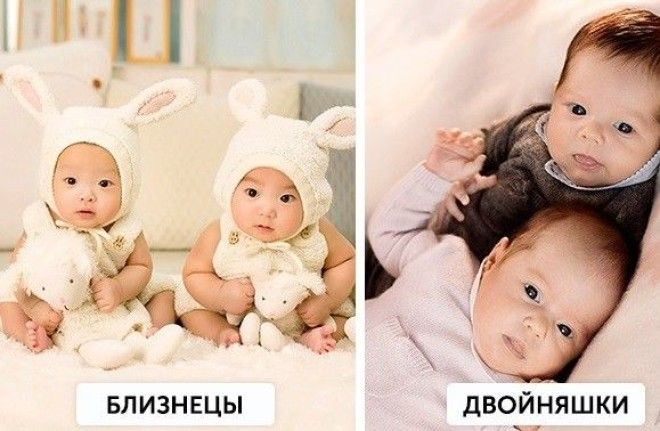 Различия которые больше не поставят нас в тупик различия тупик