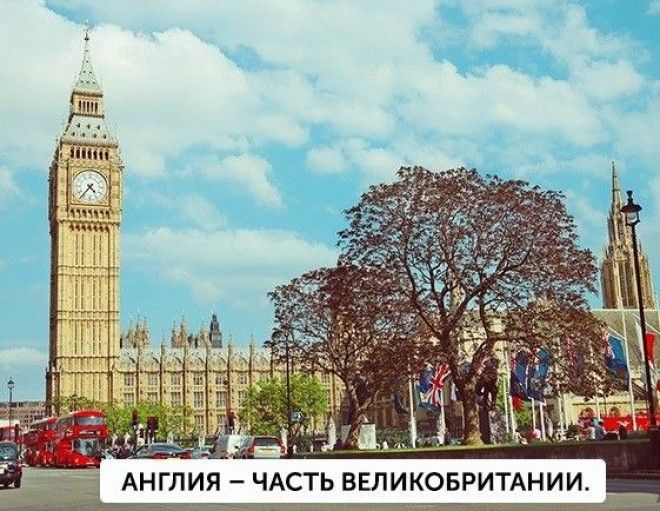 Различия которые больше не поставят нас в тупик различия тупик