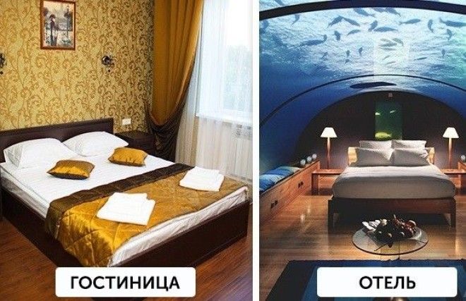 Различия которые больше не поставят нас в тупик различия тупик