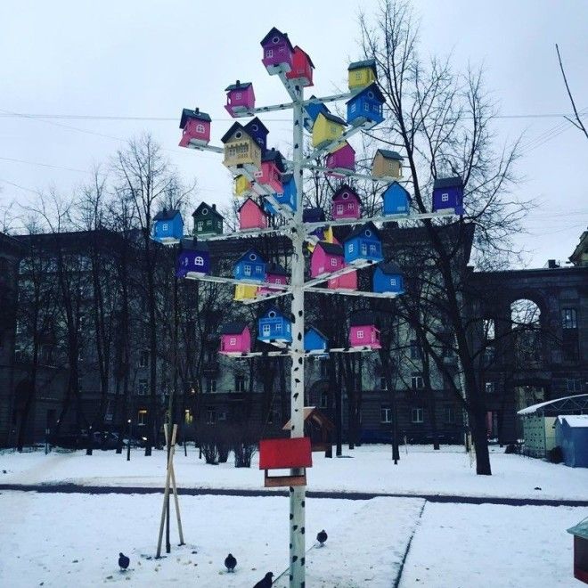 Посёлок Птичкино предлагает заселиться всем нуждающимся без ипотеки и собственно бесплатно добро кормушка птицы своими руками скворечник
