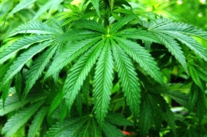 Уникальные специальности о существовании которых вы не догадывались