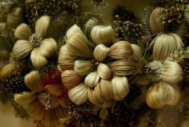 Странные увлечения хобби которые были популярными 150 лет назад
