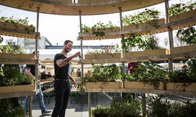 Зелёная комната дизайн вертикального сада при поддержке IKEA ikea дизайн сад цветы
