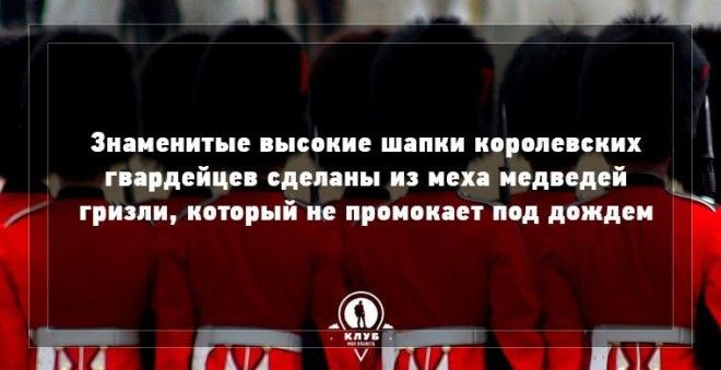  9 удивительных фактов о Великобритании великобритания факты