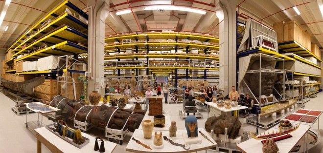 Национальный музей естественной истории NMNH