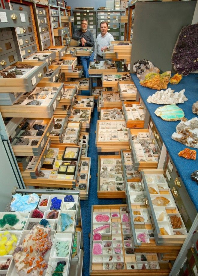 Национальный музей естественной истории NMNH